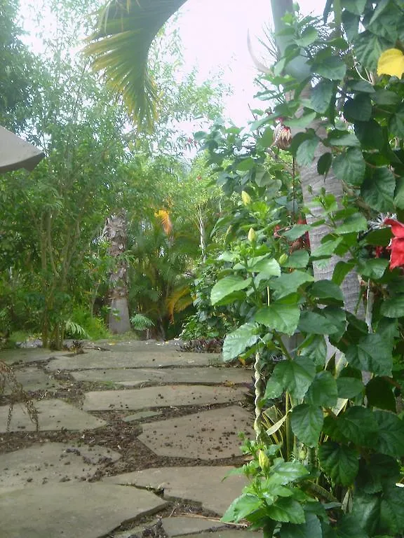 Green Lions Farm B&B Холуалоа
